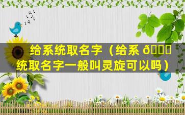 给系统取名字（给系 🐋 统取名字一般叫灵旋可以吗）